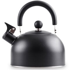 стальной чайник со свистком - vilde, черный, 2 л цена и информация | Чайники, кофейники | 220.lv