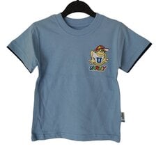 T-krekli zēniem цена и информация | Рубашки для мальчиков | 220.lv
