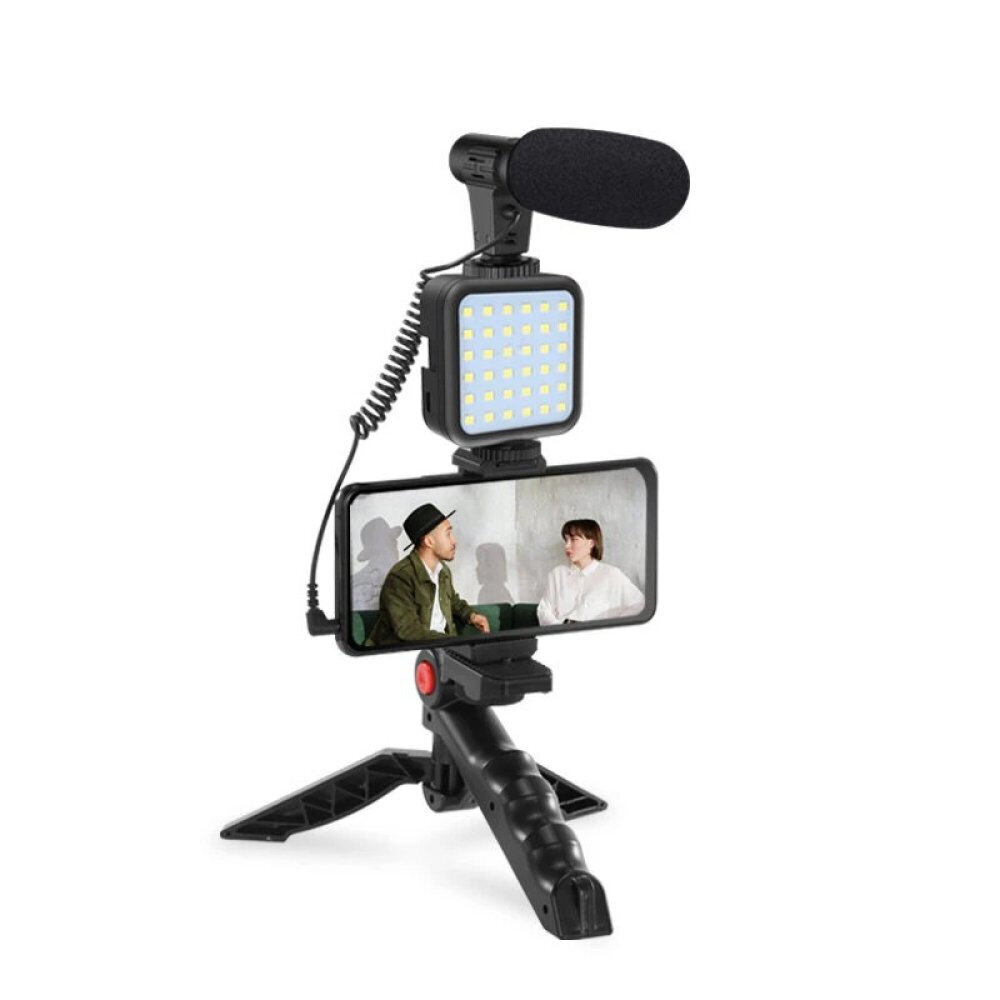 Travel PRO komplekts video autoram AY-49 cena un informācija | Selfie Sticks | 220.lv