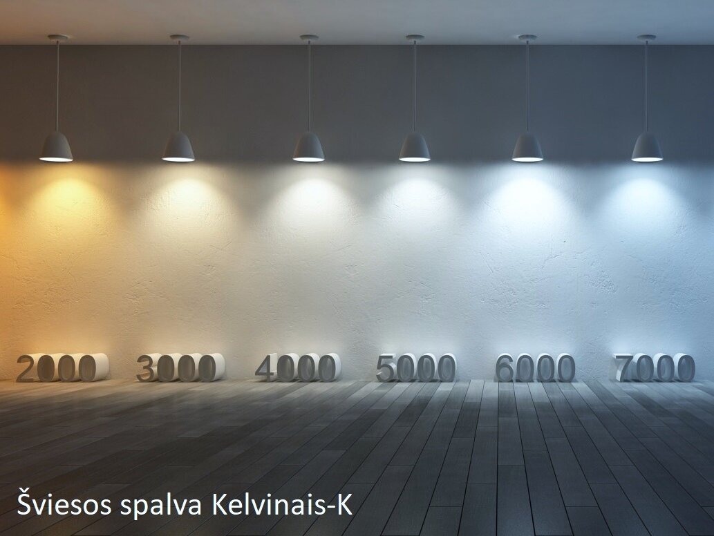 LED spuldze G.LUX GR-LED-T8-10W-PL-TUBE x 10 gab. iepakojums cena un informācija | Spuldzes | 220.lv