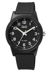 Мужские часы Q&Q VR35J027Y цена и информация | Мужские часы | 220.lv
