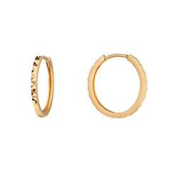 Золотые серьги конго (кольца) с гравировкой 17mm 0012686800144 цена и информация | Серьги | 220.lv