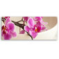 Glezna Rozā orhideja цена и информация | Gleznas | 220.lv