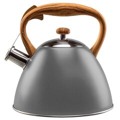 Стальной чайник со свистком, 3 л, серый цена и информация | Чайники, кофейники | 220.lv