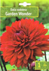 Dālijas Garden Wonder цена и информация | Луковичные цветы | 220.lv