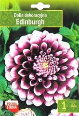 Dālijas Edinburgh цена и информация | Луковичные цветы | 220.lv