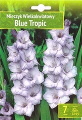 Gladiolas Blue Tropic цена и информация | Луковичные цветы | 220.lv