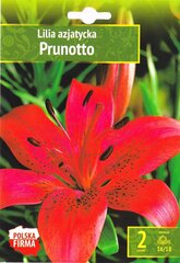 Lilijas Prunotto cena un informācija | Sīpolpuķes | 220.lv