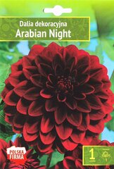 Dālijas Arabian Night cena un informācija | Sīpolpuķes | 220.lv