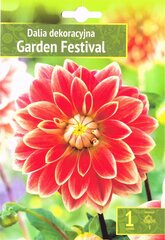 Dālijas Garden Festival cena un informācija | Sīpolpuķes | 220.lv