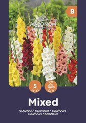 Gladiolas Mix цена и информация | Луковичные цветы | 220.lv