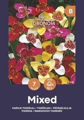 Tigrīdijas Mix цена и информация | Луковичные цветы | 220.lv