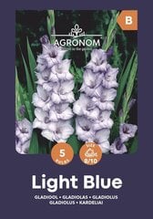Gladiolas Light Blue цена и информация | Луковичные цветы | 220.lv