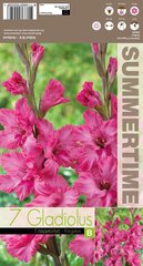 Gladiolas Kingston Ruffle цена и информация | Луковичные цветы | 220.lv