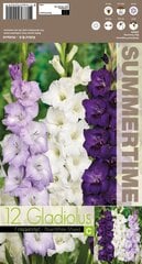 Gladiolas Mixed Blue / White цена и информация | Луковичные цветы | 220.lv