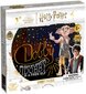 Puzle Winning Moves Harry, Potter Dobby, 02695, 250 d. цена и информация | Puzles, 3D puzles | 220.lv