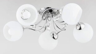 Потолочный светильник Alfa Livia Pro цена и информация | Потолочные светильники | 220.lv