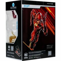 Figūriņa The Flash Hero Costume, 30 cm цена и информация | Игрушки для мальчиков | 220.lv