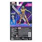 Figūriņa Marvel Legends Warrior Gamora, 15 cm цена и информация | Rotaļlietas zēniem | 220.lv