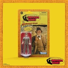Figūriņa Hasbro Indiana Jones Retro Collection Dr. Henry Jones, 10 cm cena un informācija | Rotaļlietas zēniem | 220.lv