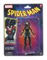 Figūriņa Marvel Legends Series Spider-Man Jessica Drew цена и информация | Rotaļlietas zēniem | 220.lv