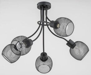 Потолочный светильник Alfa Plena Duo цена и информация | Потолочный светильник | 220.lv