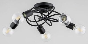 Потолочный светильник Alfa Maxis цена и информация | Потолочные светильники | 220.lv
