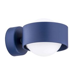Настенный светильник Argon цена и информация | Настенные светильники | 220.lv