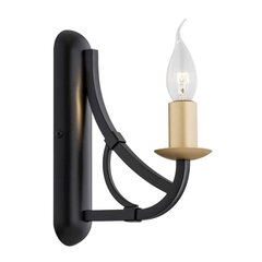 Argon настенный светильник Lorenzo цена и информация | Настенные светильники | 220.lv