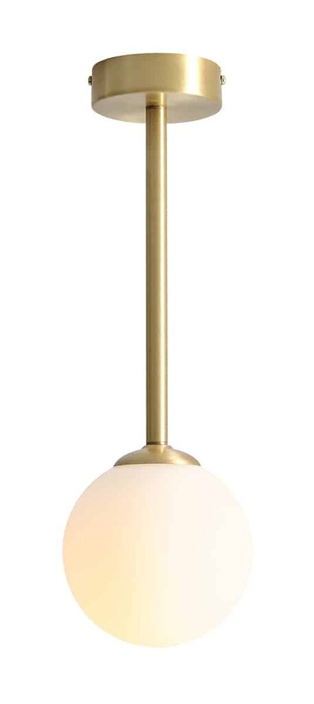 Aldex griestu lampa Pinne цена и информация | Griestu lampas | 220.lv