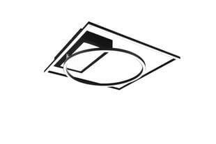 Потолочный светильник Trio Downey цена и информация | Потолочные светильники | 220.lv