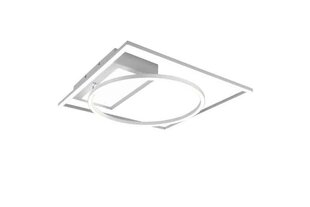 Потолочный светильник Trio Downey цена и информация | Потолочные светильники | 220.lv