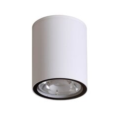 Потолочный светильник Italux Fano цена и информация | Потолочные светильники | 220.lv