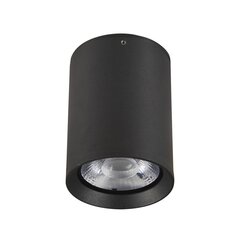 Потолочный светильник Italux Cervia цена и информация | Потолочные светильники | 220.lv