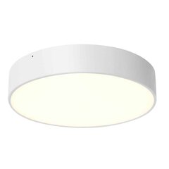 Kaspa griestu lampa Plafon цена и информация | Потолочные светильники | 220.lv