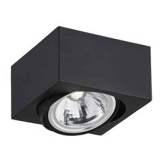 Argon griestu lampa Rodos цена и информация | Потолочные светильники | 220.lv