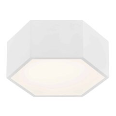 Потолочный светильник Argon Arizona цена и информация | Потолочные светильники | 220.lv