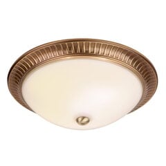 Endon griestu lampa Brahm цена и информация | Потолочные светильники | 220.lv