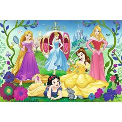 Puzle Happy Disney Princess Trefl, 70 d. цена и информация | Пазлы | 220.lv
