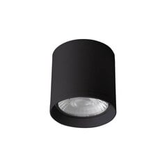 Потолочный светильник Italux Cervia цена и информация | Потолочные светильники | 220.lv