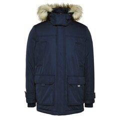 Куртка мужская Tommy Jeans 8720112512544, синяя цена и информация | Мужские куртки | 220.lv