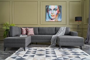 Kampinė sofa-lova Efsun - Anthracite цена и информация | Угловые диваны | 220.lv