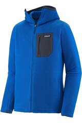 Džemperis vīriešiem Patagonia, zils cena un informācija | Vīriešu jakas | 220.lv