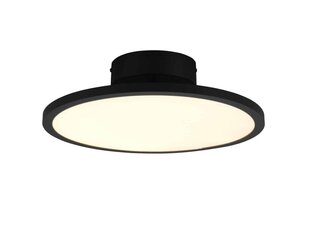 Trio griestu lampa Tray cena un informācija | Griestu lampas | 220.lv