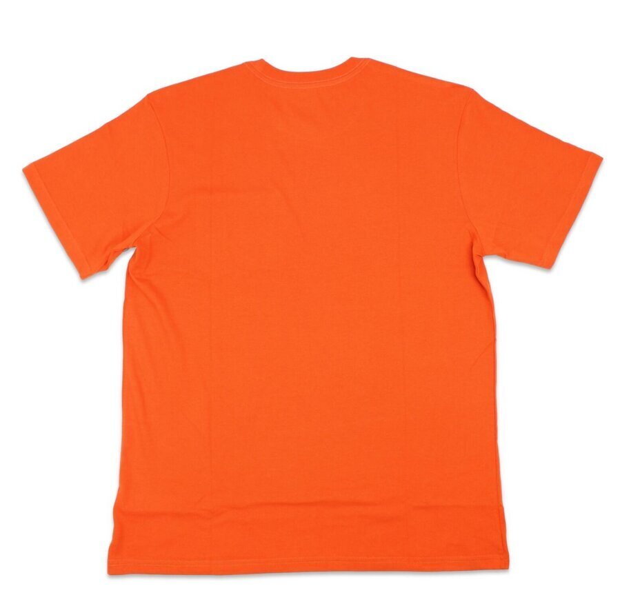 T-krekls vīriešiem Brixton 22098, oranžs cena un informācija | Vīriešu T-krekli | 220.lv