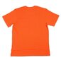 T-krekls vīriešiem Brixton 22098, oranžs cena un informācija | Vīriešu T-krekli | 220.lv