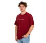 T-krekls vīriešiem Brixton 16827, sarkans cena un informācija | Vīriešu T-krekli | 220.lv