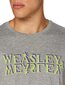 T-krekls vīriešiem MEHAPOMTS240, pelēks cena un informācija | Vīriešu T-krekli | 220.lv