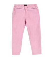 Bikses vīriešiem The North Face NF0A533C0EQ, rozā цена и информация | Мужские брюки | 220.lv