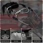 Rriteņbraukšanas saulesbrilles Rocknight HD TR90 cena un informācija | Sporta brilles | 220.lv